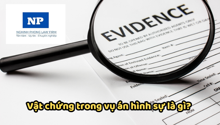 Vật chứng trong vụ án hình sự là gì? Việc xử lý vật chứng trong vụ án hình sự được thực hiện như thế nào?