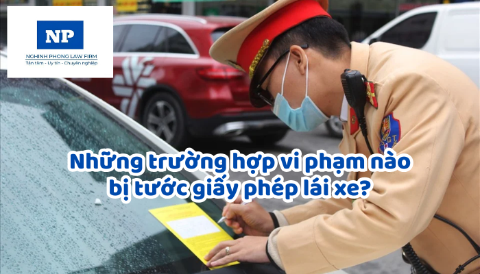 Những trường hợp vi phạm nào bị tước giấy phép lái xe?