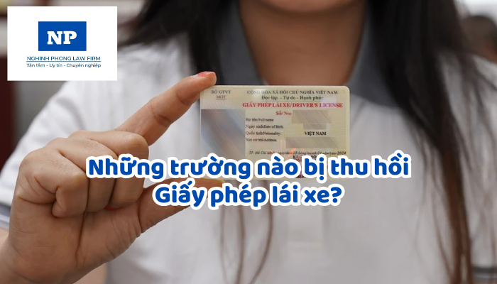 Những trường nào bị thu hồi Giấy phép lái xe?