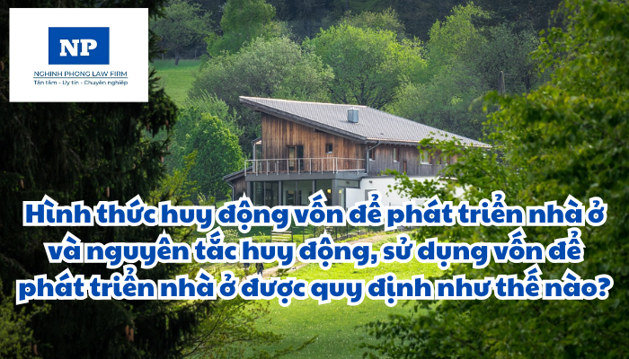 Hình thức huy động vốn để phát triển nhà ở và nguyên tắc huy động, sử dụng vốn để phát triển nhà ở được quy định như thế nào?