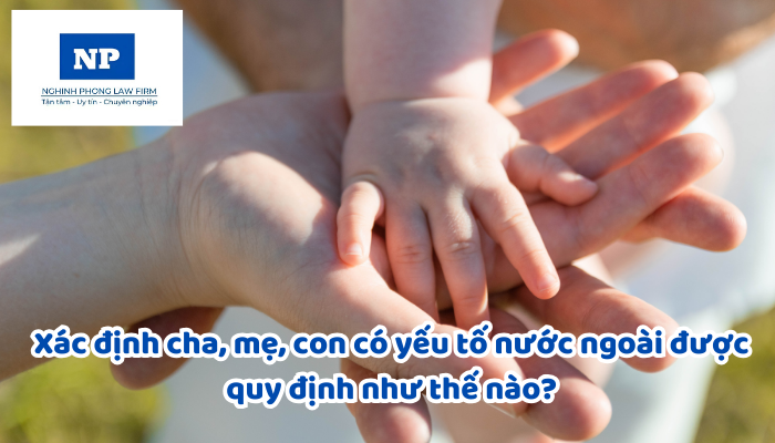Xác định cha, mẹ, con có yếu tố nước ngoài được quy định như thế nào?