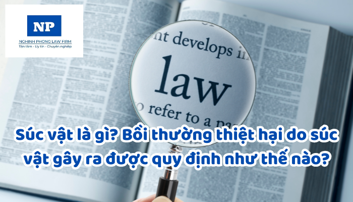 Súc vật là gì? Bồi thường thiệt hại do súc vật gây ra được quy định như thế nào?