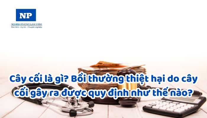 Cây cối là gì? Bồi thường thiệt hại do cây cối gây ra được quy định như thế nào?